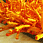 Ковер длинноворсовый Шегги TW orange